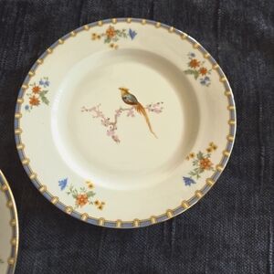 Pair Of Moritz Zdekauer In Altrohlau Czechoslavakia "Golden  Pheasant 6" Plates